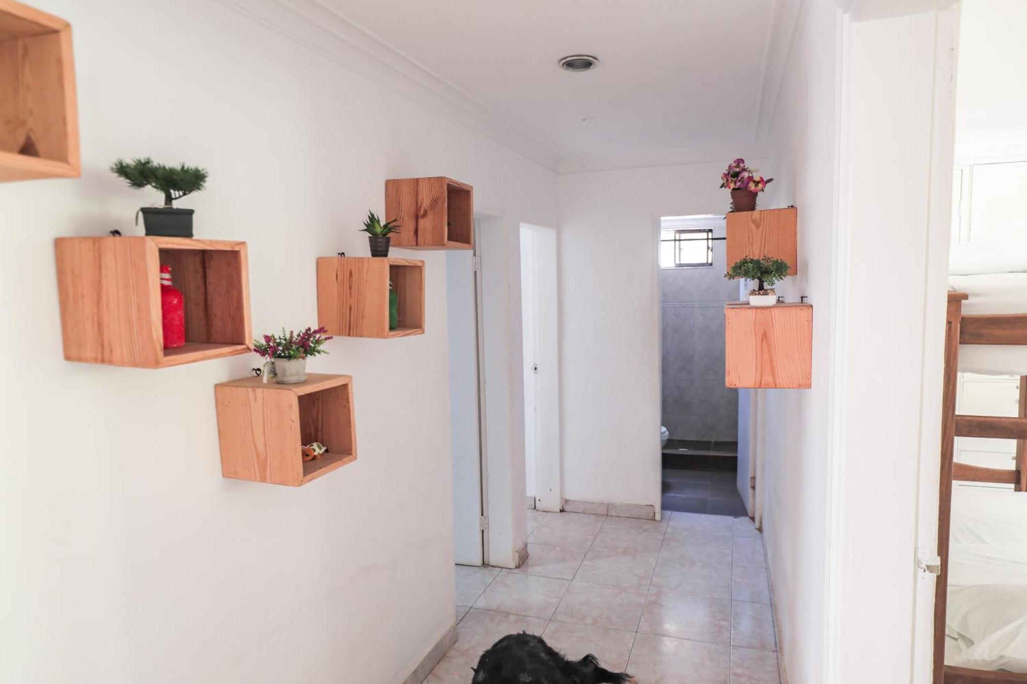 Hostal Palo Alto San Andrés Екстериор снимка